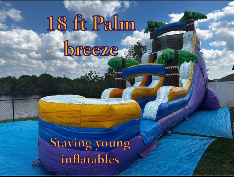 18FT Palm Breeze Water Slide